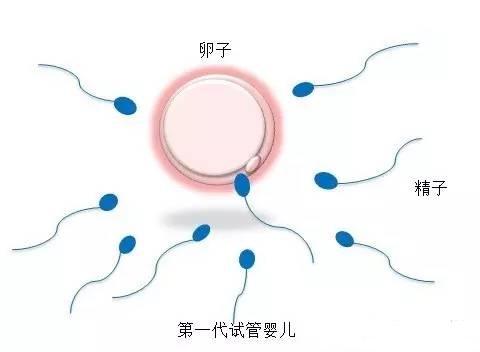 慈安中西医结合试管中心
